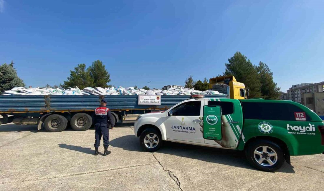 İL JANDARMA KOMUTANLIĞINDAN KAÇAK GÜBRE OPERASYONU : 2 MİLYON LİRA