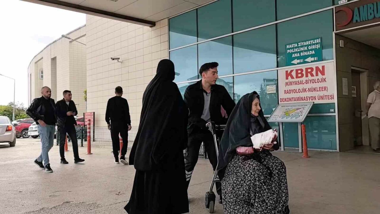 BURSA'NIN İNEGÖL İLÇESİNDE, KEDİ İLE KÖPEĞİN KAVGASINI AYIRMAYA ÇALIŞAN YAŞLI