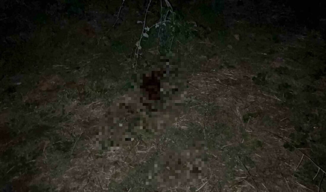 BURSA'DA 2 GENÇ ARASINDA ÇIKAN TARTIŞMADA BIÇAKLA YARALANAN 16 YAŞINDAKİ