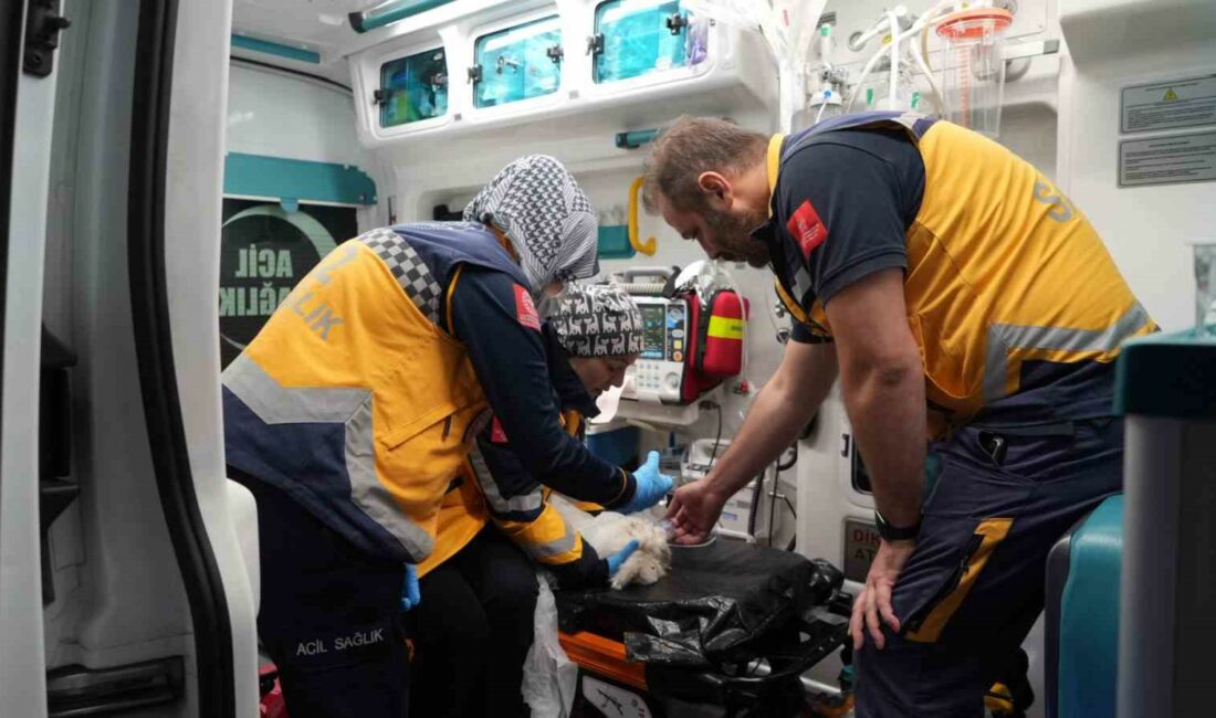 Bursa’da kereste fabrikası yangınında yürekleri ısıtan görüntüler BURSA'DA KERESTE FABRİKASI YANGININDA YÜREKLERİ ISITAN GÖRÜNTÜLER