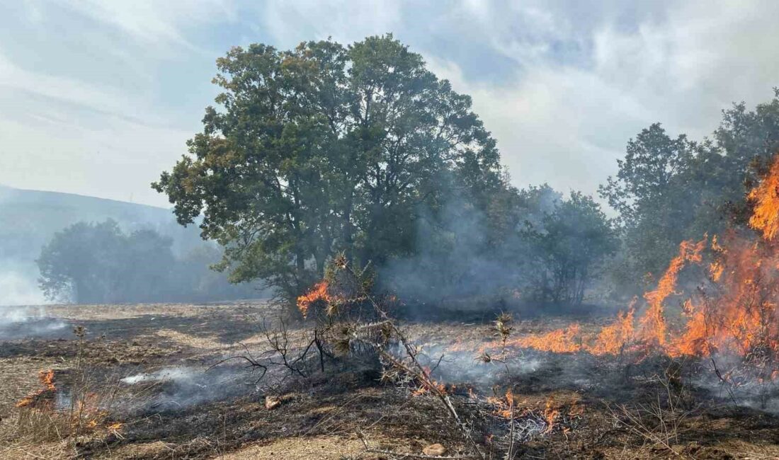 Bursa’da peş peşe yangın Ormanlık alanda çıkan yangına ekiplerin müdahalesi sürüyor BURSA’DA PEŞ PEŞE YANGIN ORMANLIK ALANDA ÇIKAN YANGINA EKİPLERİN MÜDAHALESİ