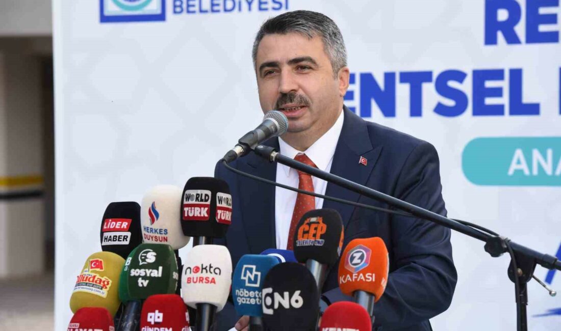 BURSA'DA YILDIRIM BELEDİYESİ ÇINARÖNÜ MAHALLESİ REZERV ALAN KENTSEL DÖNÜŞÜM PROJESİ