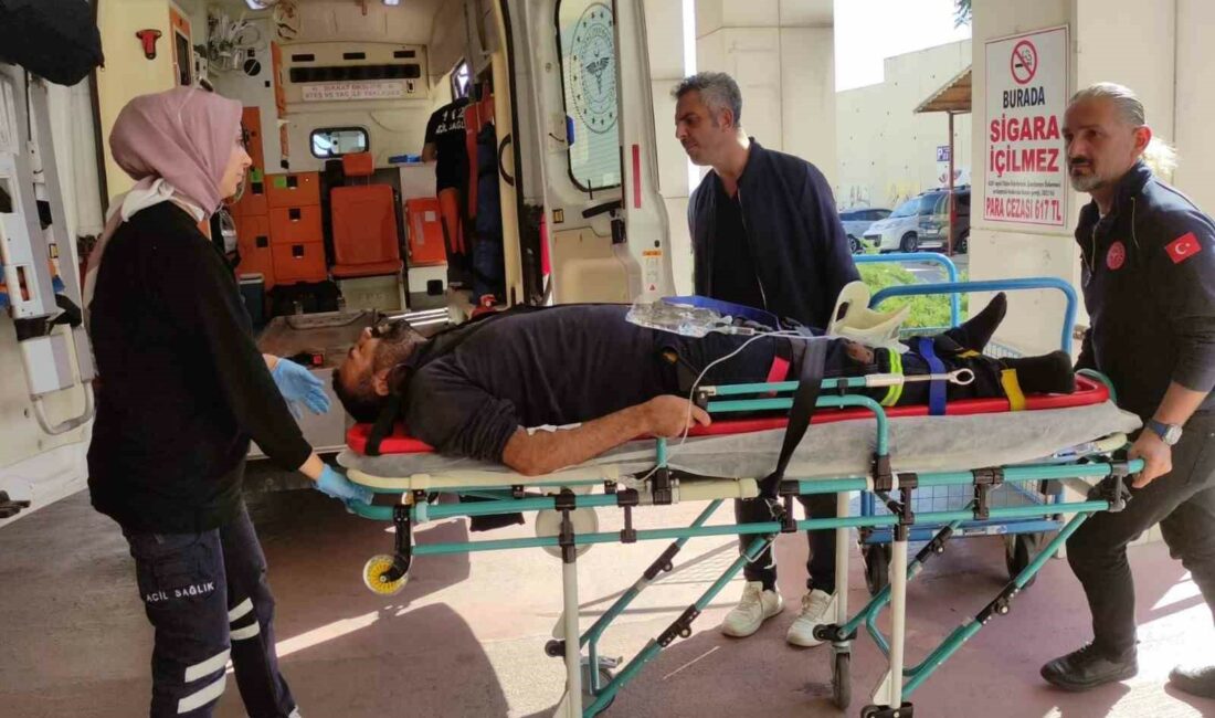 BURSA'NIN ORHANGAZİ İLÇESİNE BAĞLI PAŞAPINAR MAHALLESİ'NDE ARAZİDE ELEKTRİK DİREĞİ MONTAJINDA