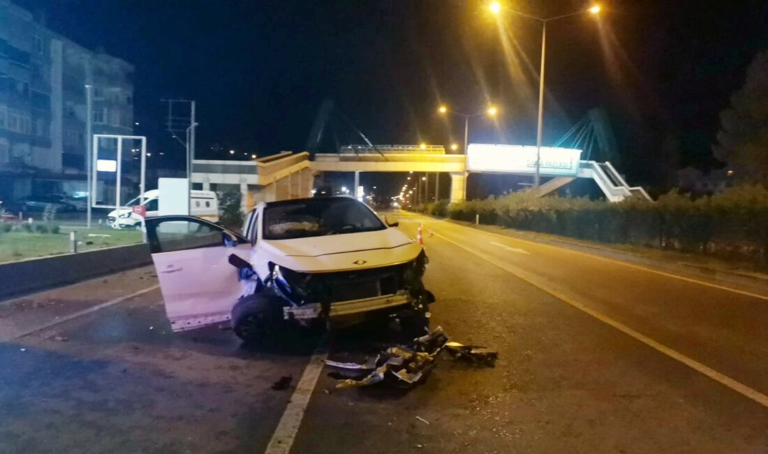 Eski belediye başkanının oğlu kazada ağır yaralandı BURSA’DA YOLA ÇIKAN KÖPEKLERE ÇARPMAMAK İÇİN MANEVRA YAPAN SÜRÜCÜ DİREKSİYON