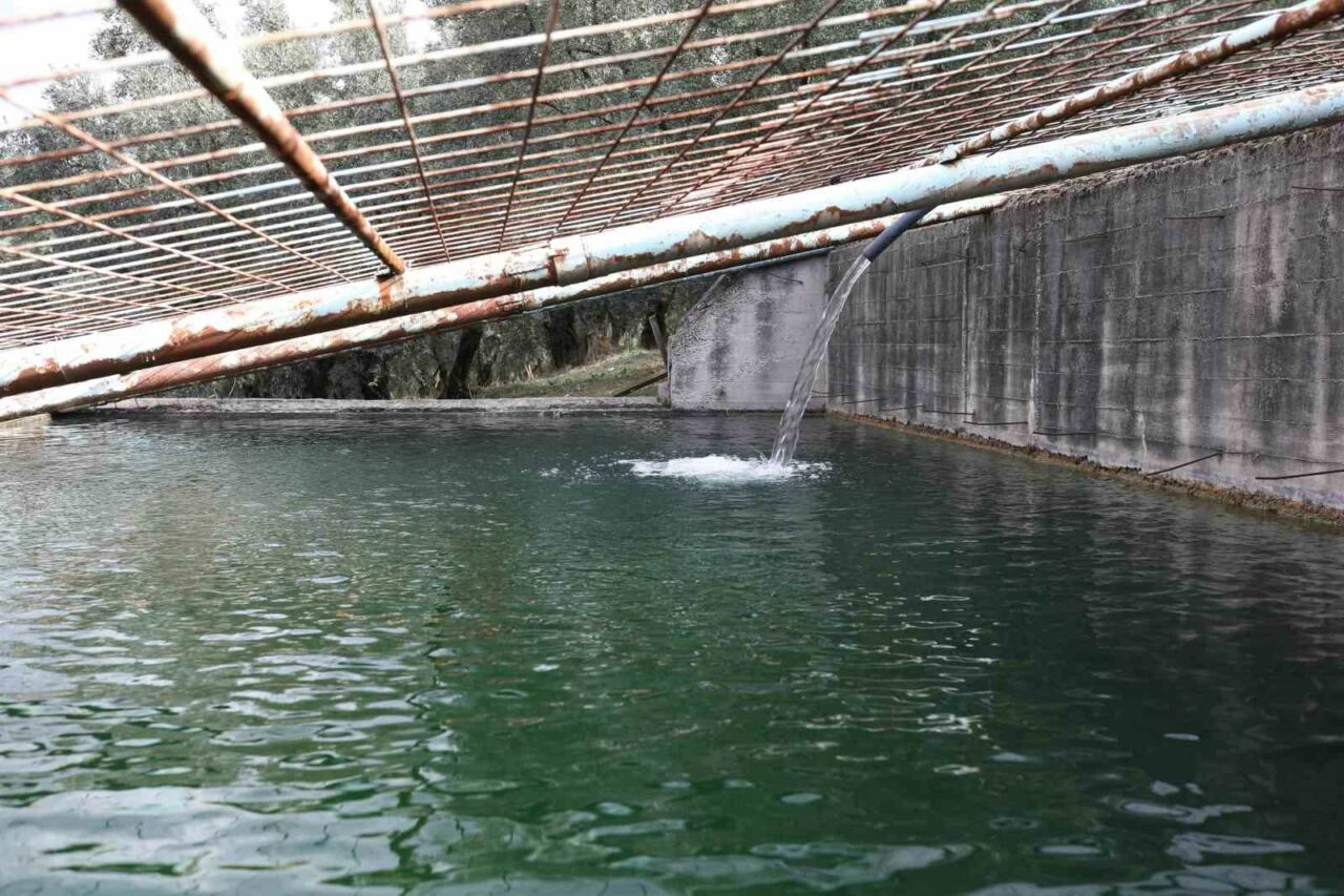 BURSA'NIN GEMLİK İLÇESİNDE, BOŞA AKAN İKİ KAYNAK SUYU BİR HAVUZDA