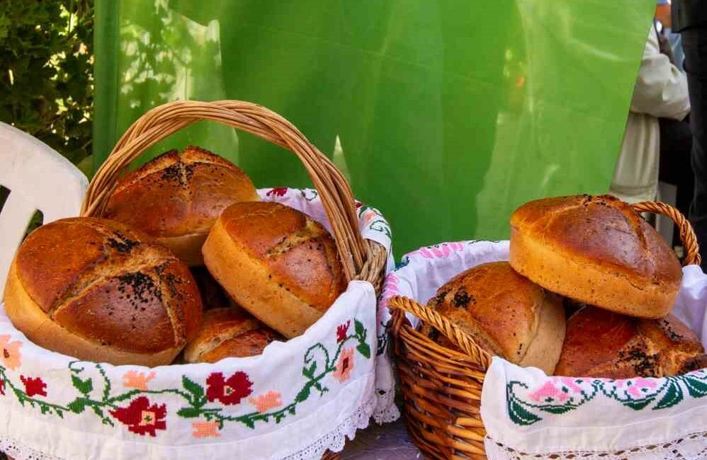 BURSA BÜYÜKŞEHİR BELEDİYESİ İŞTİRAKLERİNDEN BESAŞ, ATA TOHUMU SİYEZ BUĞDAYI VE