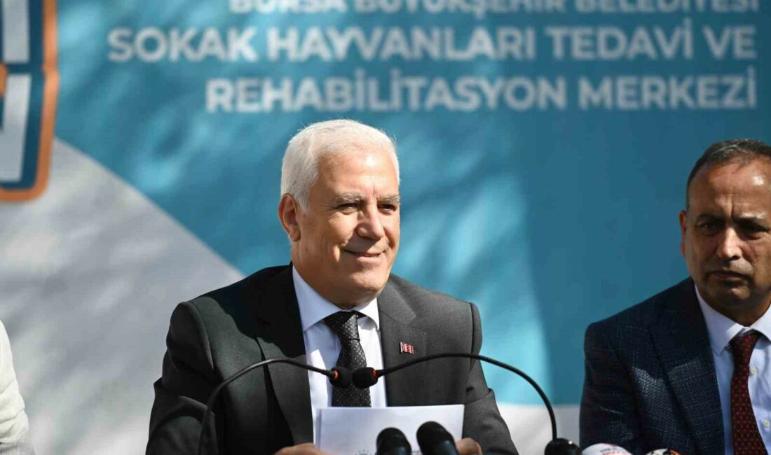 Haydi Bursa, ‘Yuvanız yuvası olsun’ BURSA BÜYÜKŞEHİR BELEDİYESİ, CAN DOSTLARI KORUMAK VE ONLARA YUVA KAZANDIRMAK