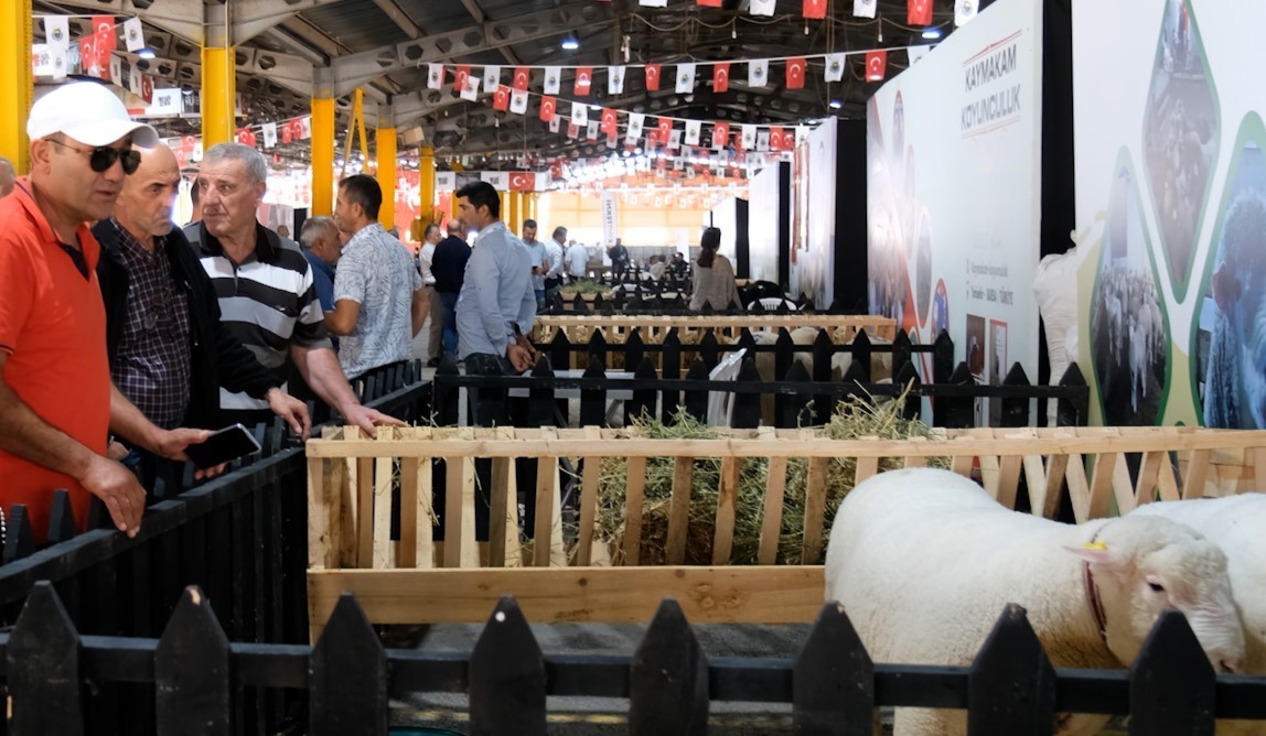 İNEGÖL BELEDİYESİ’NİN BU YIL 4’ÜNCÜSÜNÜ DÜZENLEDİĞİ KÜÇÜKBAŞ HAYVANCILIK FESTİVALİ CUMA