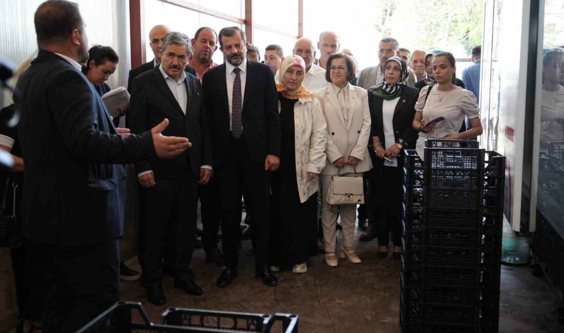 Kendi ürettikleri meyve kasasından 3 milyon lira tasarruf ettiler BURSA'DAKİ AĞAKÖY TARIMSAL KALKINMA KOOPERATİFİ, KENDİ ÜRETTİĞİ MEYVE KASASI İLE