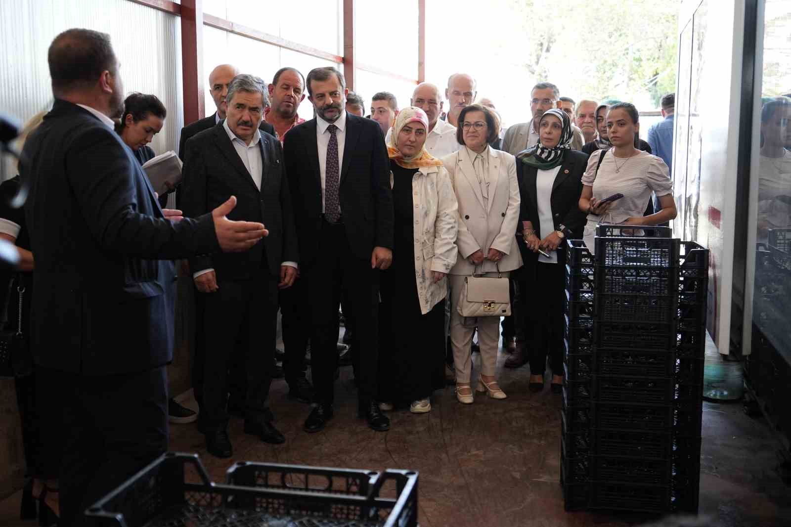 BURSA'DAKİ AĞAKÖY TARIMSAL KALKINMA KOOPERATİFİ, KENDİ ÜRETTİĞİ MEYVE KASASI İLE