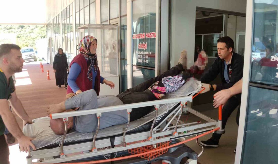 Motorlu testere ile odun keserken bacağını kesti BURSA’NIN ORHANGAZİ İLÇESİNDE EVİNİN BAHÇESİNDE MOTORLU TESTERE İLE ODUN KESMEYE