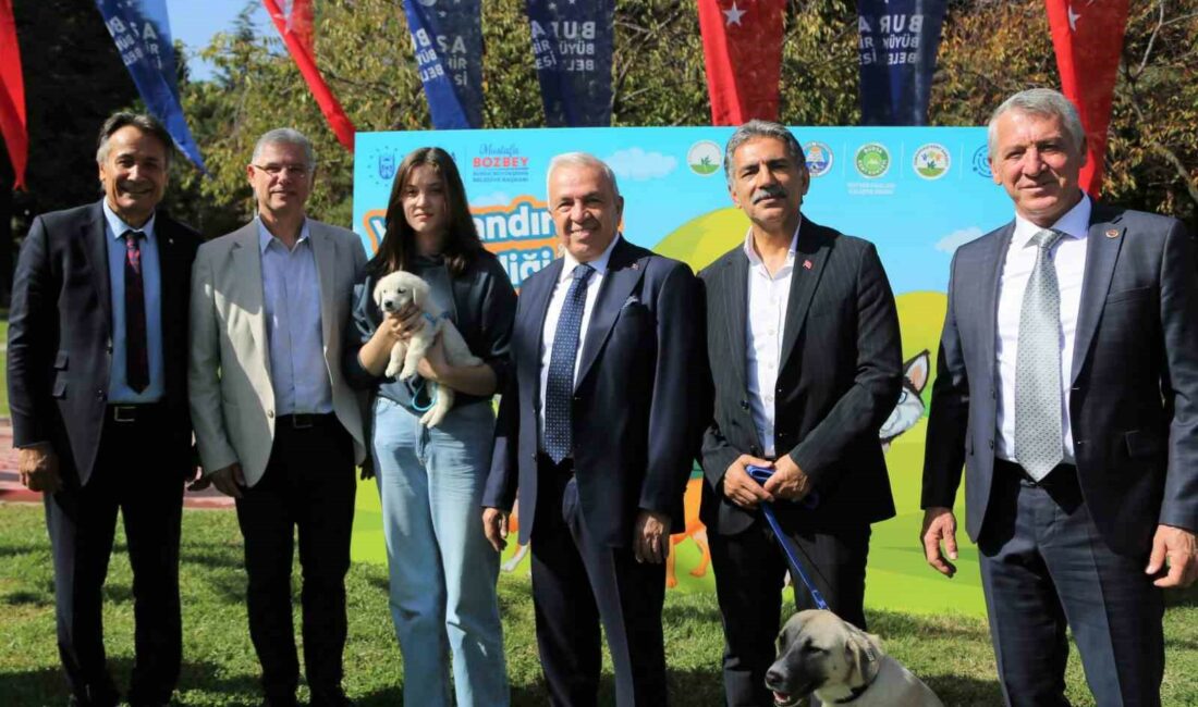 Nilüfer’de can dostlar yeni yuvalarına kavuşuyor NİLÜFER BELEDİYESİ, SOKAK HAYVANLARININ REHABİLİTASYONU VE SAHİPLENDİRİLMESİ KONUSUNDAKİ ÇALIŞMALARINI DİJİTAL