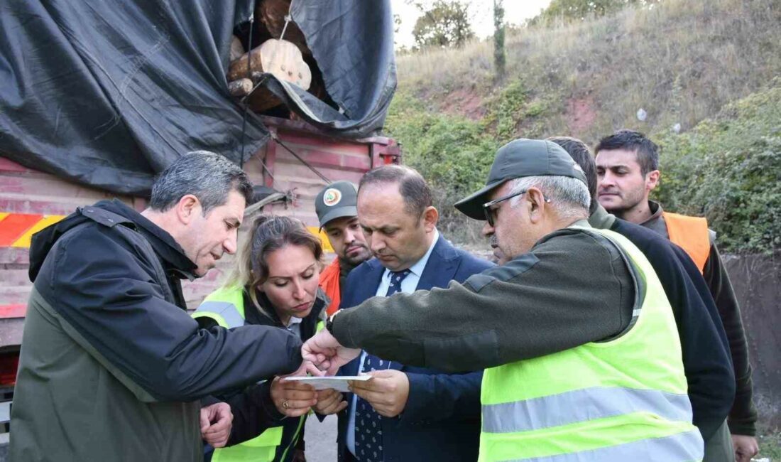 ORMAN BÖLGE MÜDÜRLÜĞÜ EKİPLERİ ŞOK DENETİMLER YAPTI