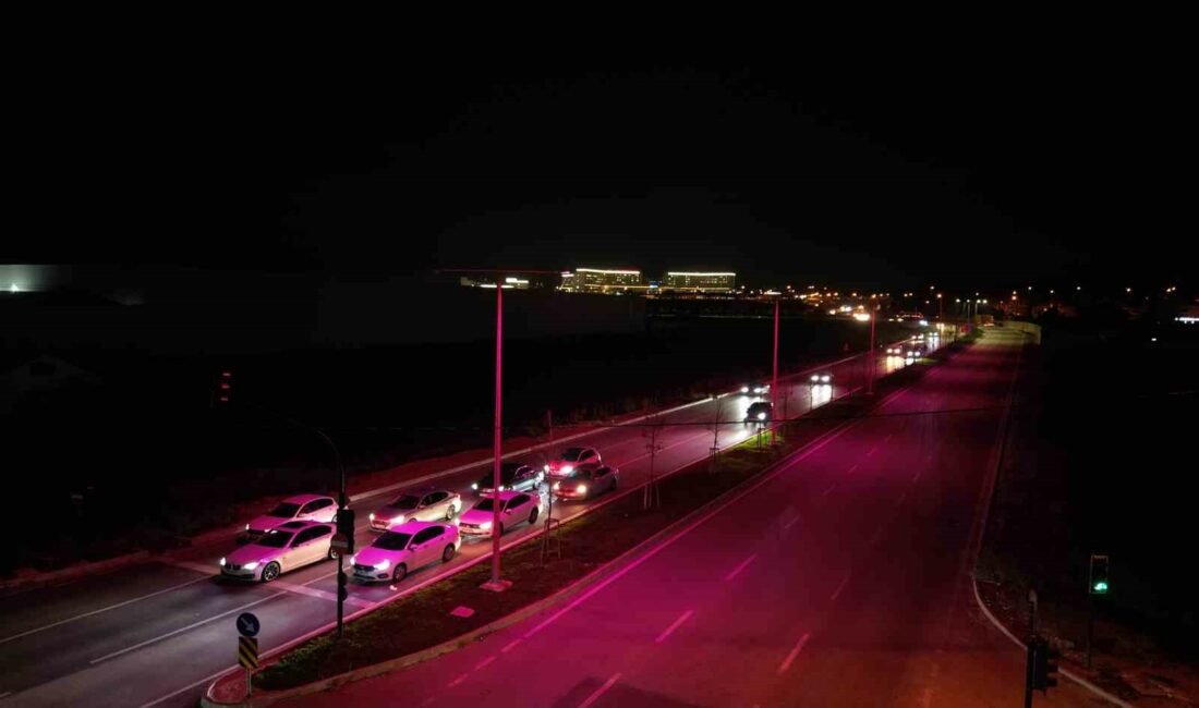 Sokak lambaları, meme kanseri farkındalığı için pembe yandı UEDAŞ’IN PEMBE LAMBALAR PROJESİ İLE ERKEN TEŞHİSİN HAYAT KURTARICI ROLÜNE