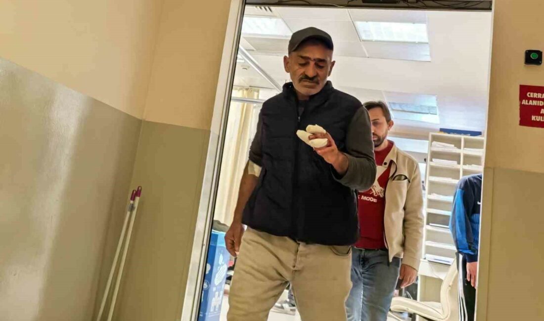 BURSA'NIN İNEGÖL İLÇESİNDE BAHÇESİNDE AHŞAP KESEN ADAM, PARMAĞINI SPİRAL MAKİNESİ