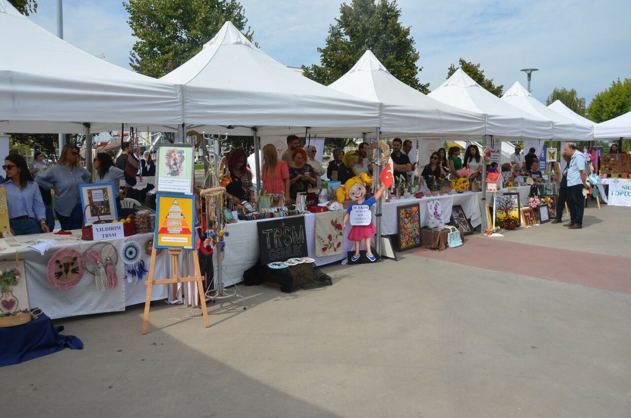 BURSA İL SAĞLIK MÜDÜRLÜĞÜ’NE BAĞLI TOPLUM RUH SAĞLIĞI MERKEZLERİ’NDE (TRSM)