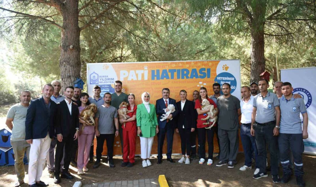 Yıldırım’da can dostlar emin ellerde BURSA'DA YILDIRIM BELEDİYESİ, 2024 YILINDA 459 SOKAK HAYVANINI SICAK BİR