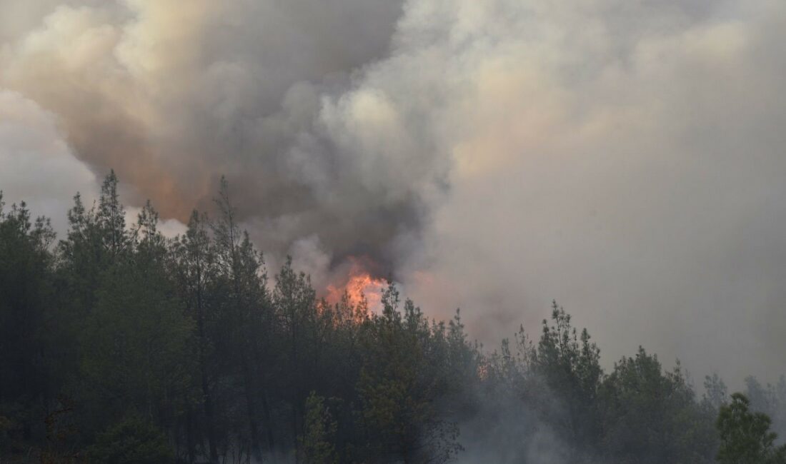 Bursa-Balıkesir sınırındaki yangın 10 saatten fazla sürdü Bursa-Balıkesir sınırında dün öğleden sonra çıkan orman yangını ancak gece