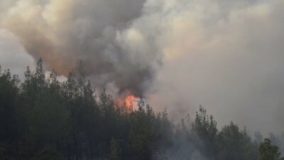 Bursa-Balıkesir sınırında dün öğleden sonra çıkan orman yangını ancak gece