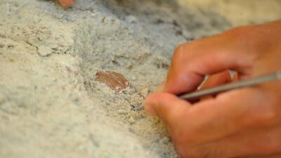 Yüzün üzerinde mağara ve 15 milyon yıl önceki fosil yataklarına