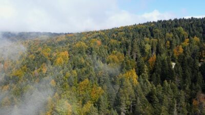 Türkiye’nin önemli kış merkezlerinden biri olan Uludağ, hazan güzelliğiyle ziyaretçilerini