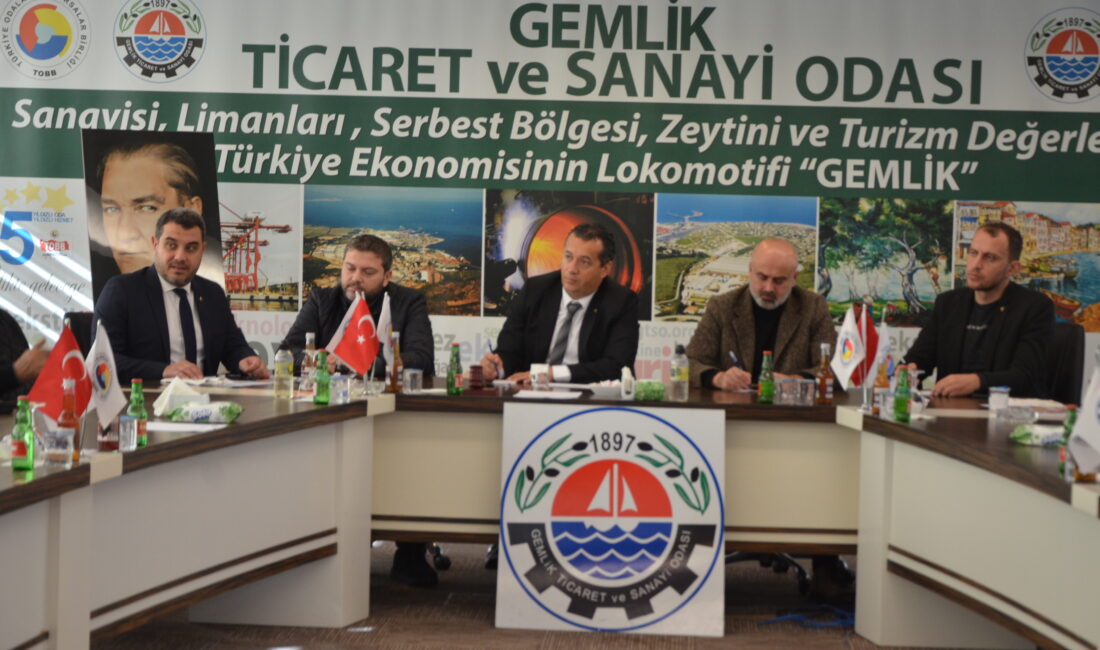 Gemlik Ticaret ve Sanayi odası tarafından oda üyesi meslek komiteleri