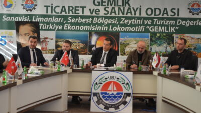 Gemlik Ticaret ve Sanayi odası tarafından oda üyesi meslek komiteleri