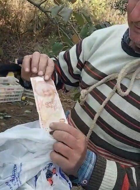 Bahçeden hurma toplayıp parasını poşet içinde ağaca astı BURSA’NIN ORHANGAZİ İLÇESİNE BAĞLI KERAMET MAHALLESİNDE YOL KENARINDAKİ BİR HURMA