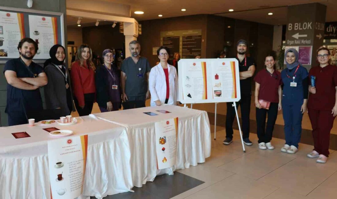 Basit tedbirlerle yanıktan korunun BURSA ŞEHİR HASTANESİ ERİŞKİN YANIK SORUMLUSU OP. DR. SELMA BEYEÇ,