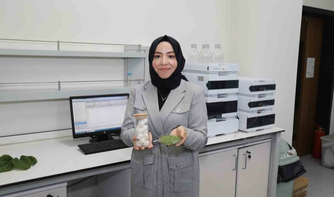 BTÜ’de diyabet hastalarına özel gıda kaplaması geliştirildi BTÜ’DE DİYABET HASTALARINA ÖZEL GIDA KAPLAMASI GELİŞTİRİLDİ