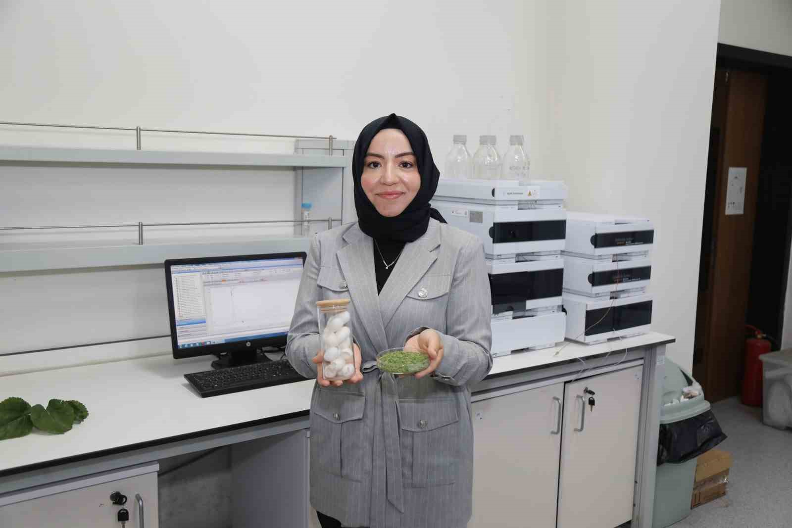 BTÜ’DE DİYABET HASTALARINA ÖZEL GIDA KAPLAMASI GELİŞTİRİLDİ