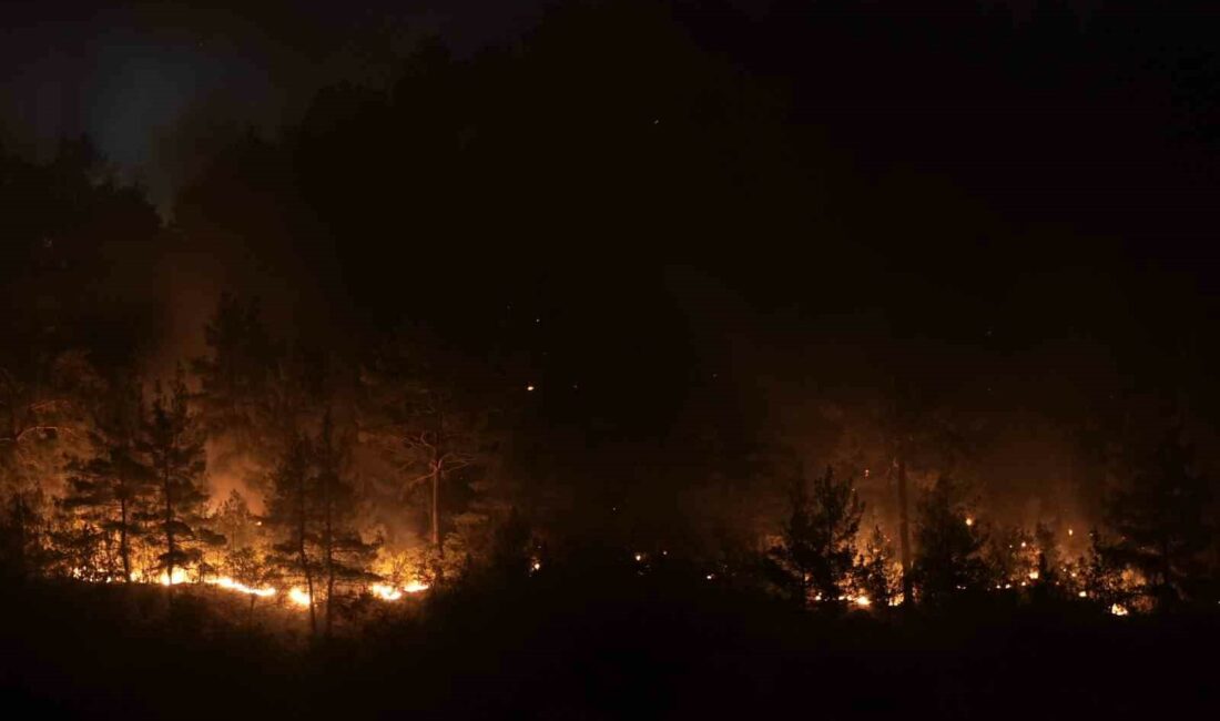 Bursa-Balıkesir sınırındaki orman yangınına 8. saatinde müdahale devam ediyor Bursa-Balıkesir il sınırındaki orman yangınına 8. saatinde müdahale devam ediyor