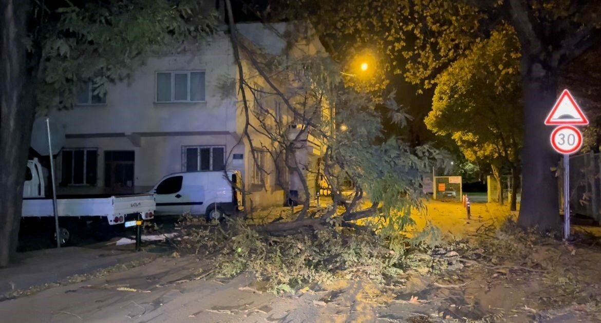 Bursa Büyükşehir Belediyesi, 100 kilometre/saat hıza ulaşan kuvvetli rüzgar sonucu