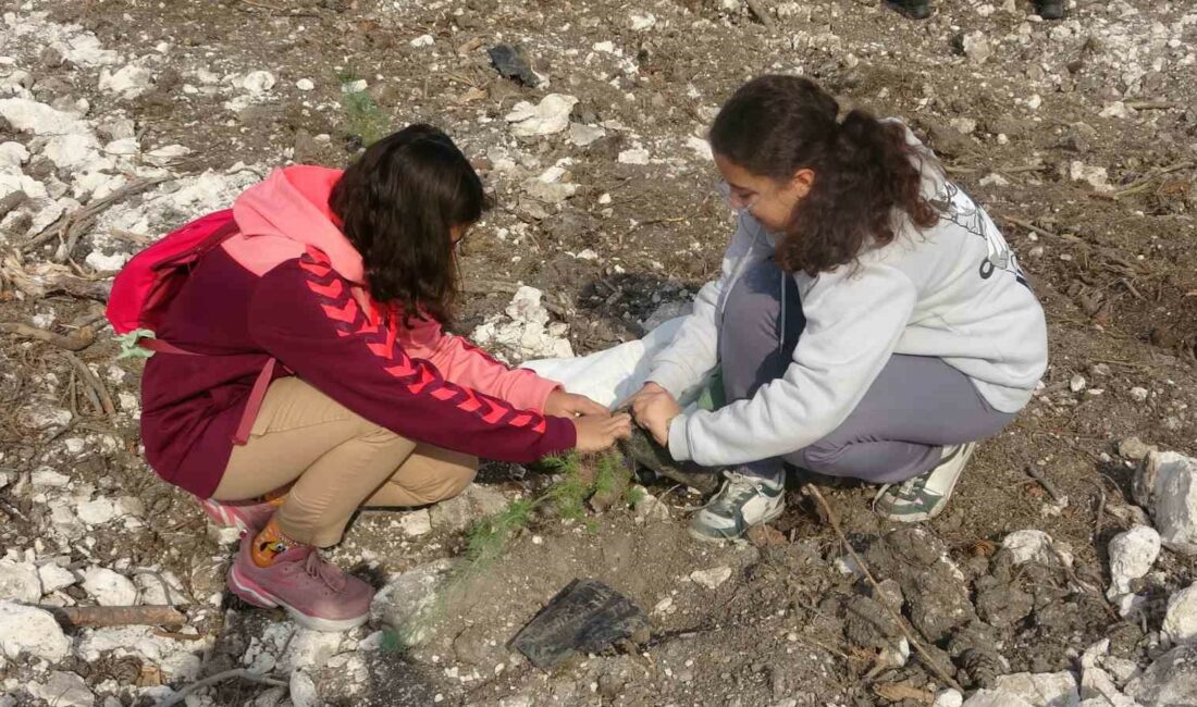 Bursa Uludağ Üniversitesi’nin yanan ormanları yeniden yeşeriyor 11 KASIM MİLLİ AĞAÇLANDIRMA GÜNÜ KAPSAMINDA BURSA ULUDAĞ ÜNİVERSİTESİ'NDE (BUÜ)