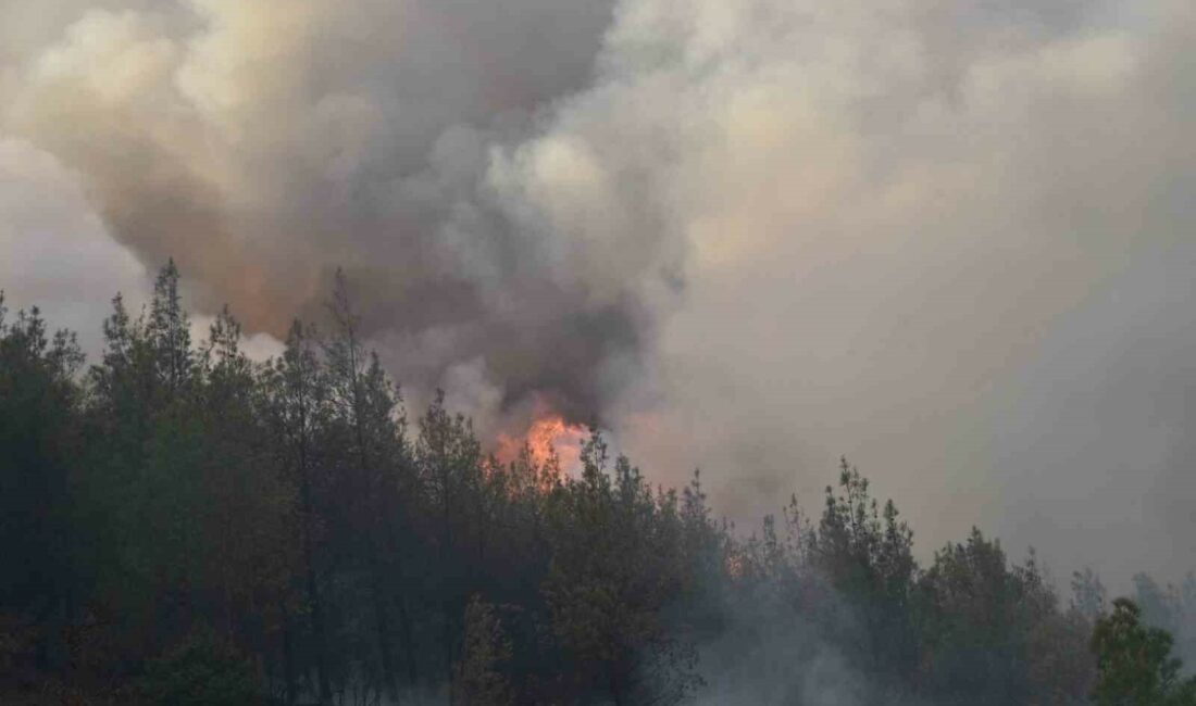 Bursa’da başlayan orman yangını Balıkesir’e sıçradı BURSA İLE BALIKESİR İL SINIRI ARASINDAKİ ORMAN YANGINININ BÜYÜME İHTİMALİNE