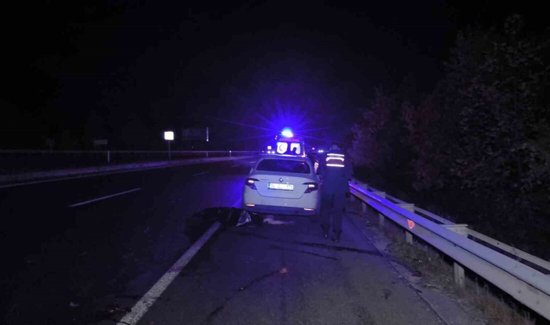 BURSA'DAKİ KAZADA EMEKLİ DOKTOR HAYATINI KAYBETTİ