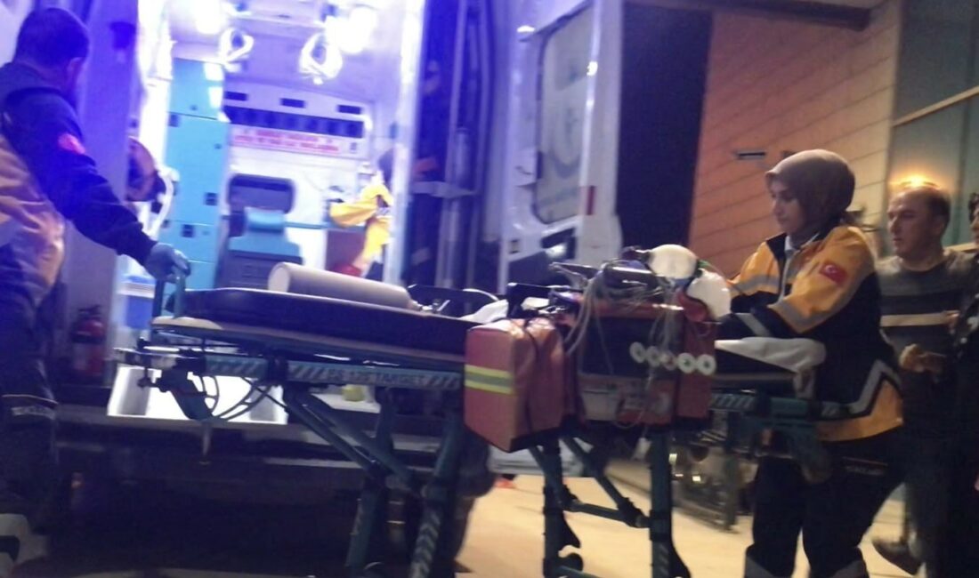 Bursa’da nefes borusuna üzüm kaçan bebek hayatını kaybetti BURSA'NIN İNEGÖL DE NEFES BORUSUNA ÜZÜM KAÇAN 10 AYLIK BEBEK