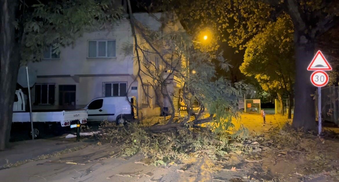 Bursa’da şiddetli rüzgar ağacı devirdi, yol kapandı Bursa’da etkisini artıran şiddetli lodos ağacı devirdi. Ağacın yarısı yolu