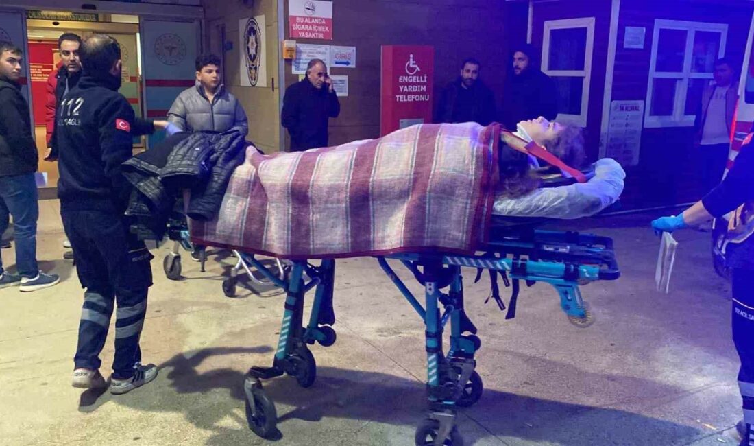 Bursa’da tır ile otomobil kafa kafaya çarpıştı: 6 yaralı BURSA'NIN İNEGÖL İLÇESİNDE MEYDANA GELEN KAZADA OTOMOBİL İLE TIR KAFA