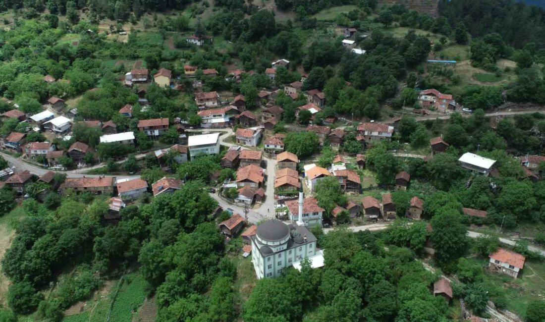 Bursa’nın köylerinde mücavir alan sınırları genişliyor Türkiye’nin 4.büyük kenti olan ve 1061 mahallesi bulunan Bursa’da Büyükşehir