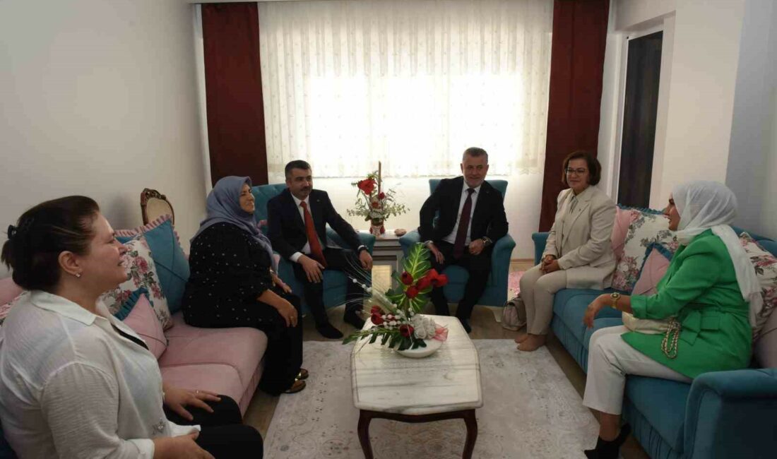 Çınarönü’nde yeni yaşam başladı ÇINARÖNÜ'NDE YENİ YAŞAM BAŞLADI