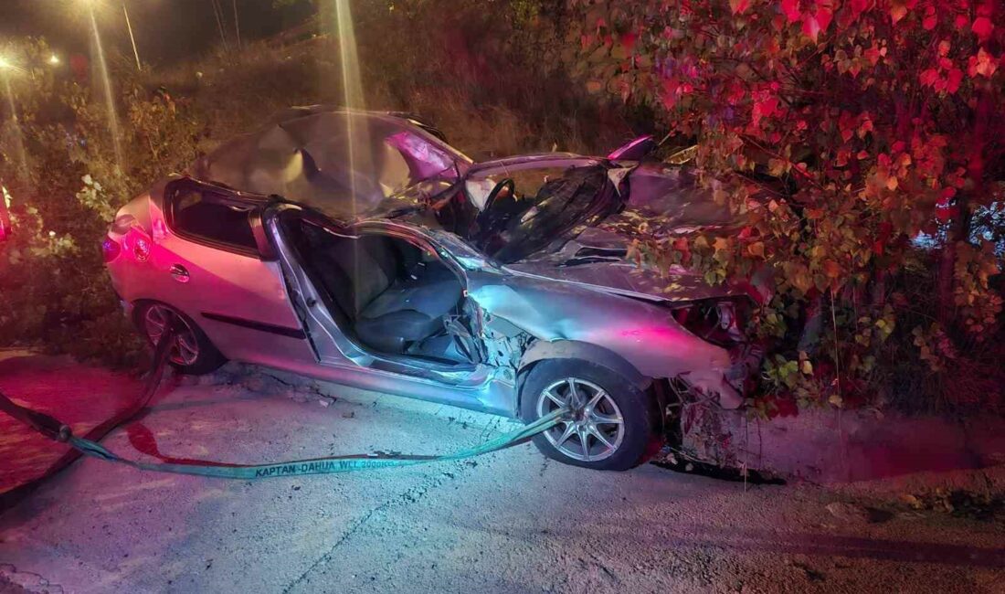 BURSA'NIN MUDANYA İLÇESİNDE SÜRÜCÜSÜNÜN İDARESİNDEN ÇIKAN OTOMOBİL TAKLA ATARAK ŞARAMPOLE