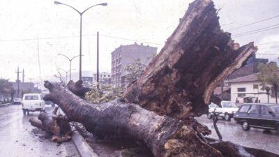SOMUNCU BABA’NIN DİKTİĞİ VE BURSA’NIN MANEVİ AÇIDAN EN ÖNEMLİ SİMGELERİNDEN