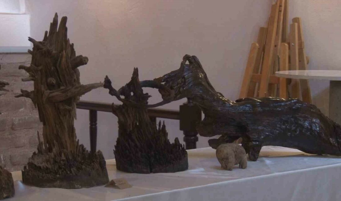 Dünyada böyle sergi görülmedi BURSA’DA YAŞAYAN 62 YAŞINDAKİ TANSEL SAYLI, DOĞA YÜRÜYÜŞLERİNDE HAYVAN FİGÜRLERİNE