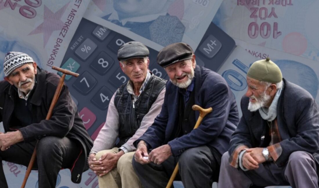 Emekli ve Emekçiler Dernekleri (EMED) Federasyonu Başkanı Gönül Boran Özüpak,