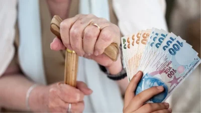 İPA’nın Dr. Ozan Bingöl ile hazırladığı ve Prof. Dr. Aziz