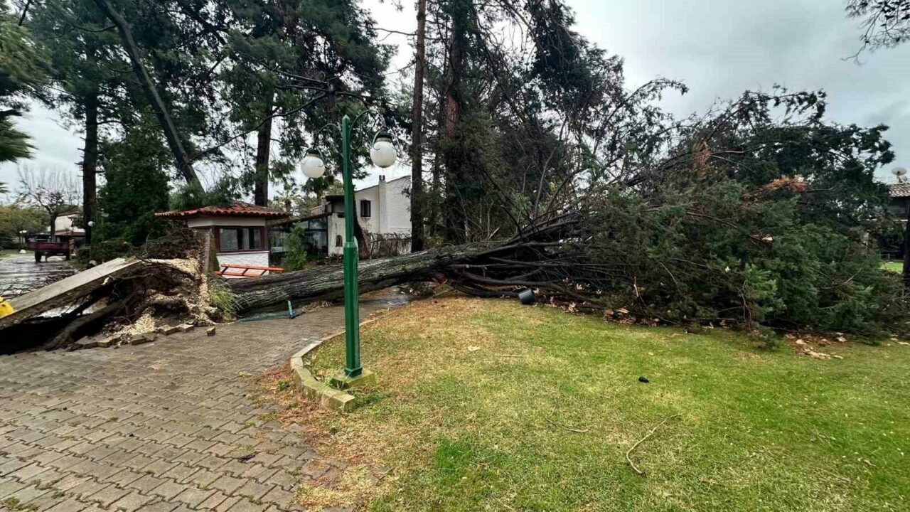 Bursa’nın İznik ilçesi Selçuk Mahallesi’nde bulunan Beyaz Kent Sitesi’nde yaşanan