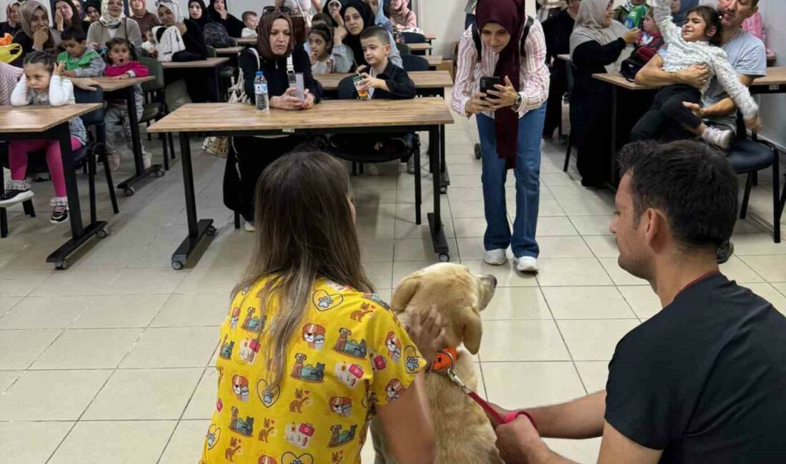 Küçük hayvanseverlerden can dostlarına ziyaret KÜÇÜK HAYVANSEVERLERDEN CAN DOSTLARINA ZİYARET