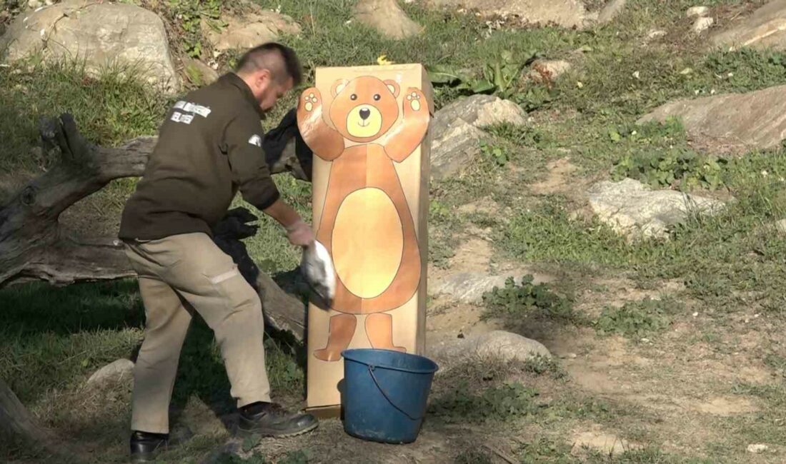 BURSA HAYVANAT BAHÇESİNDE BULUNAN BOZ AYILAR, HAVALARIN MEVSİM NORMALLERİNİN ÜZERİNDE