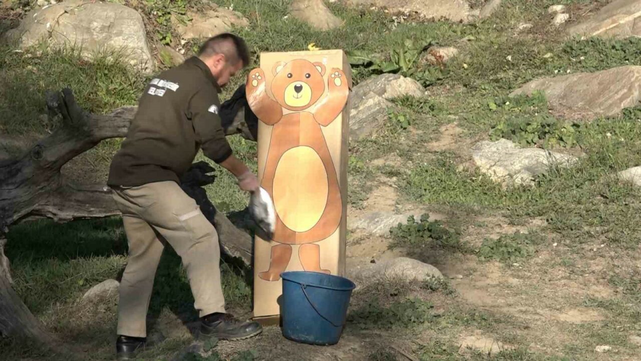 BURSA HAYVANAT BAHÇESİNDE BULUNAN BOZ AYILAR, HAVALARIN MEVSİM NORMALLERİNİN ÜZERİNDE